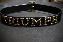 Triumph Belt (brass)
