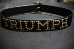 Triumph Belt (brass)
